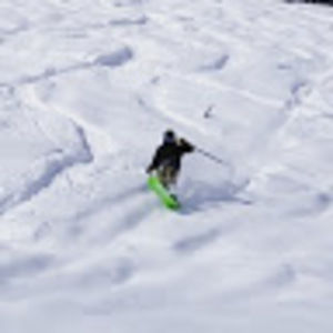 Meet your Posher, Patrick